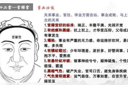 八字官禄宫怎么看婚姻