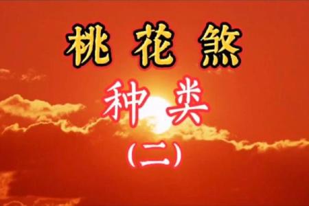 八字中最厉害的桃花有哪些呢