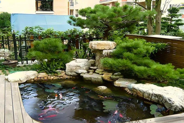 家庭鱼池风水 家庭鱼池风水摆放 家庭鱼池风水 家庭鱼池风水摆放