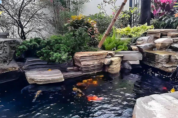 家庭鱼池风水 家庭鱼池风水摆放 家庭鱼池风水 家庭鱼池风水摆放