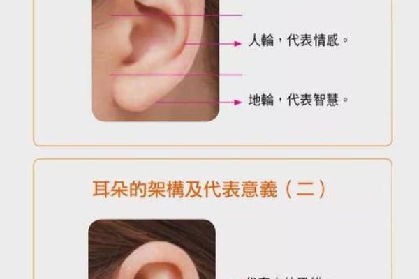 耳朵算命耳朵看运势大全,耳朵命运图解