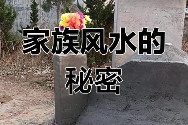 祖上有德祖坟风水好的征兆