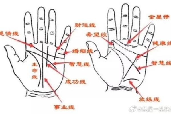 男人看手相算命财运怎么看 男人手中钱财纹多最有钱