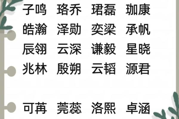 2024年农历正月二十八出生的男女宝宝五行 命运解析八字起名