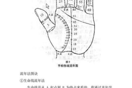 手相算命，从手相看你聪明度有多高？