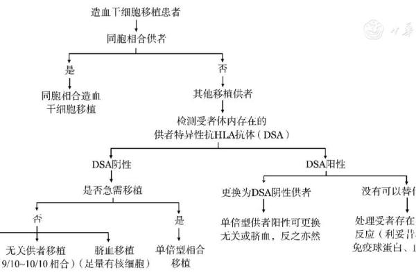 八字和白血病有关系吗大意不变