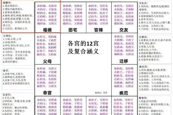 紫微斗数与八字 紫微斗数与八字
