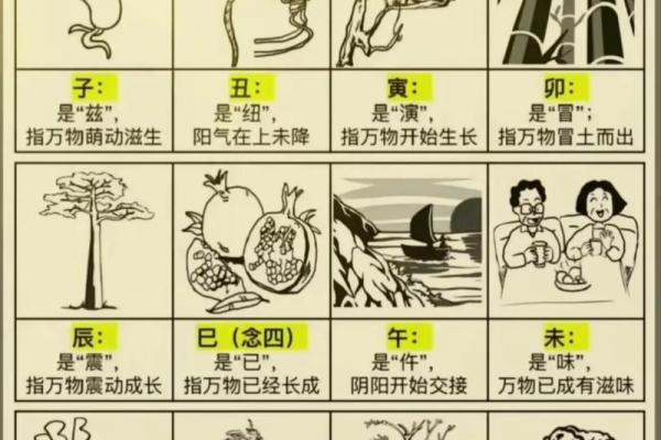 属相八字算命 属相八字算命