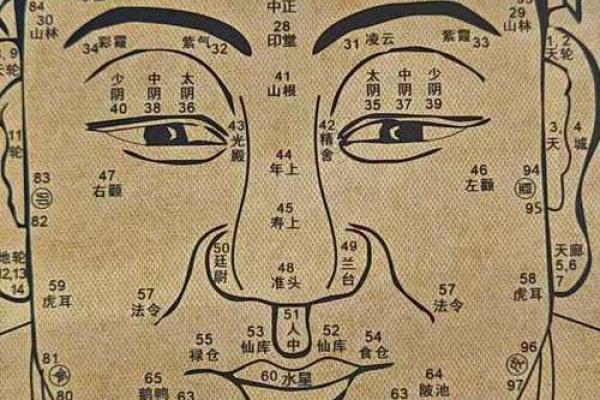 面相算命看法的特征,面相的基本看法