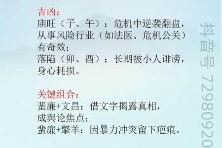 紫微斗数诸星落诸宫之：破军星奴仆宫详解