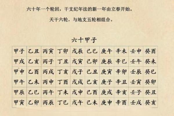八字排盘详解，丁卯戊申乙卯乙酉命理解析