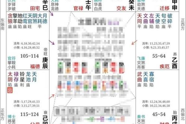 紫薇斗数看自己财