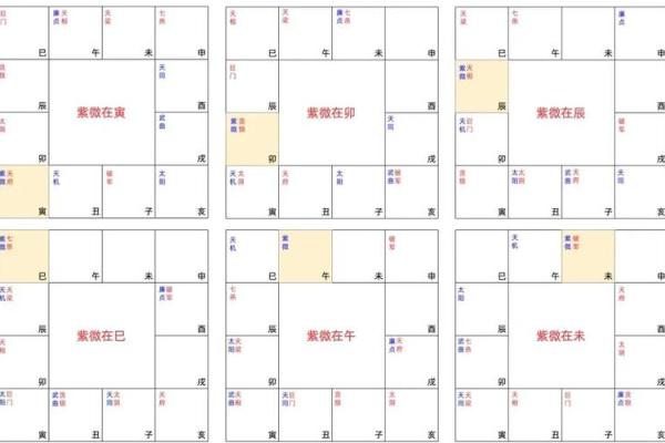 紫微斗数案例25健康：抑郁的命盘啥样？你在什么时间渡劫？