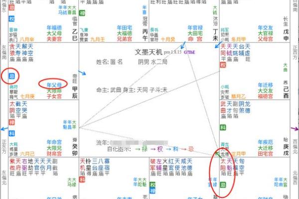 紫微斗数案例13姻缘：夫妻宫无主星，桃花太旺伤婚姻的命盘