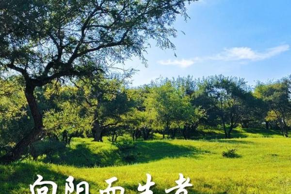 生在立夏后八字， 财运兴旺逢凶化吉