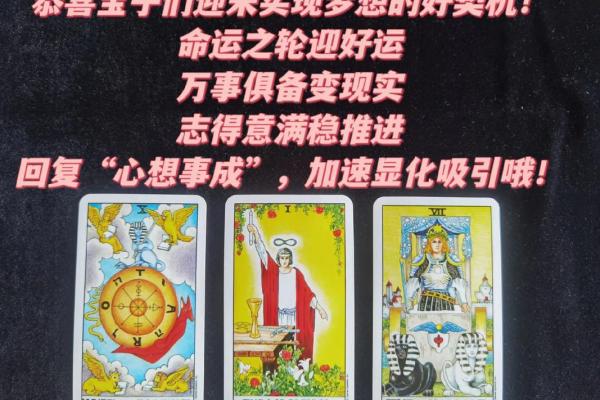 塔罗测试：二月事业运？