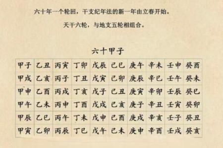 八字排盘详解，丁卯戊申乙卯乙酉命理解析
