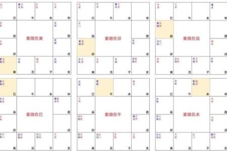 紫微斗数案例25健康：抑郁的命盘啥样？你在什么时间渡劫？