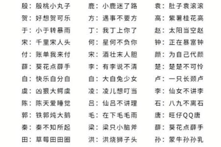 姓名配对恋爱契合度,姓名匹配测试免费