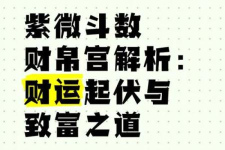 紫薇斗数财帛天相得