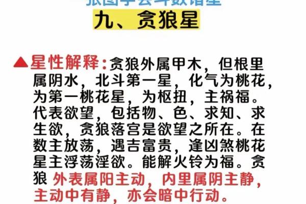 紫薇斗数贪狼火星