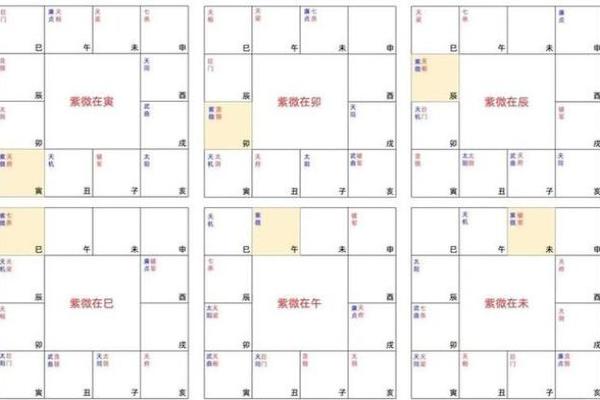 紫薇斗数命宫巨门