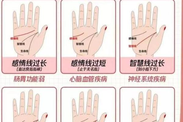 图解:手相中的智慧线算命 图解:手相中的智慧线算命