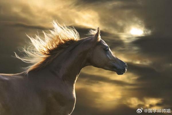 紫薇斗数驿马星 紫薇斗数驿马星