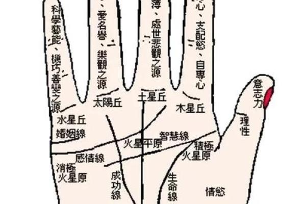 图解：手相小人纹如何算命