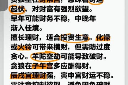 紫薇斗数贪狼火星