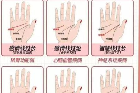 图解：手相中的智慧线算命