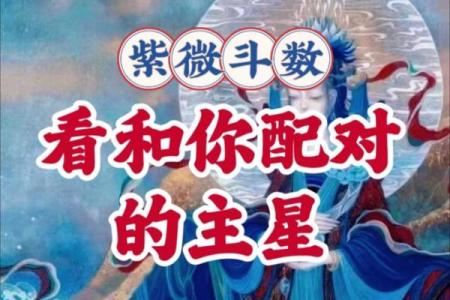 紫薇斗数看创业与否