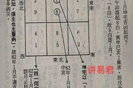 紫微斗数之流星的看法，流年岁前十二神吉凶断：官符