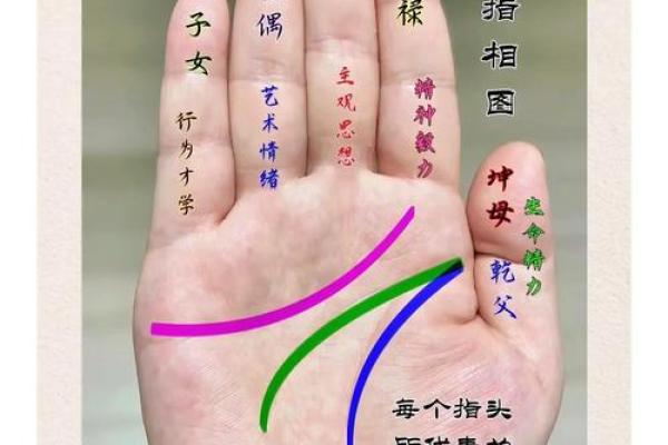 算命的说手相句子