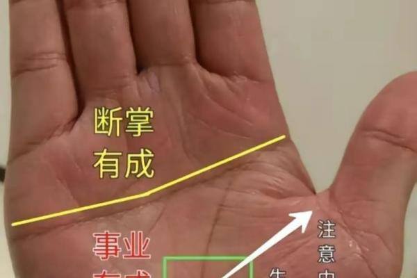 算命手相,免费看手相算命 算命手相,免费看手相算命