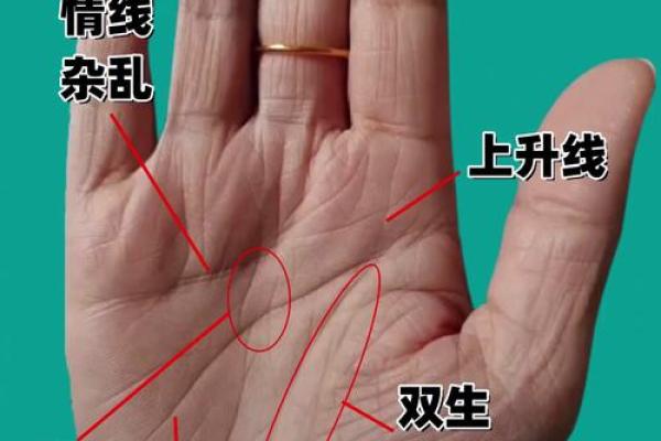 算命手相,免费看手相算命 算命手相,免费看手相算命