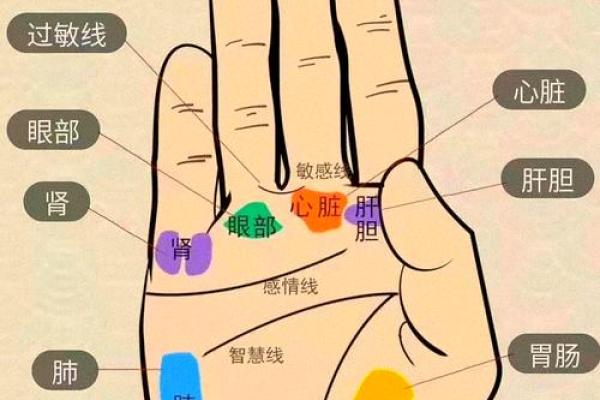 如何看掌纹线算命女性 智慧线长度适中进取心强 如何看掌纹线算命女性 智慧线长度适中进取心强