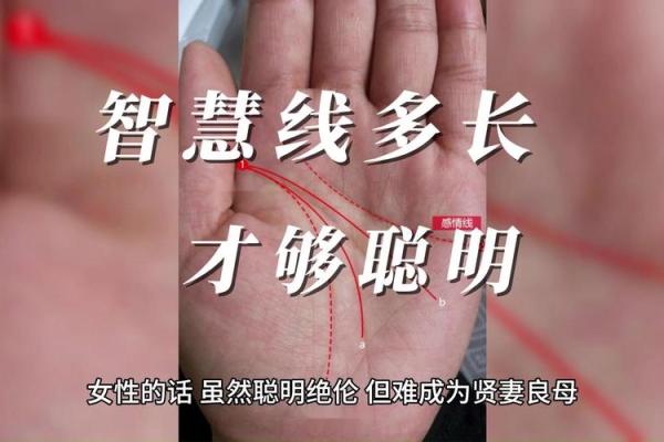 如何看掌纹线算命女性 智慧线长度适中进取心强 如何看掌纹线算命女性 智慧线长度适中进取心强
