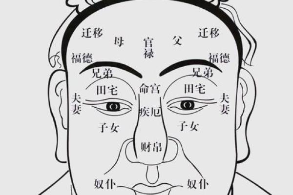 男人断掌手纹算命图解 男人断掌手纹算命图解