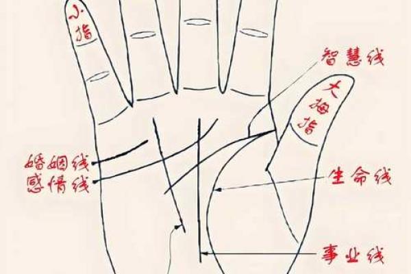 男人断掌手纹算命图解 男人断掌手纹算命图解