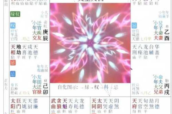 紫微斗数入门--身宫