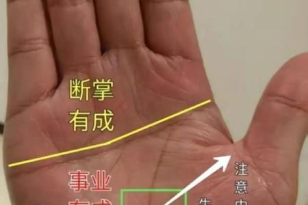 算命手相,免费看手相算命