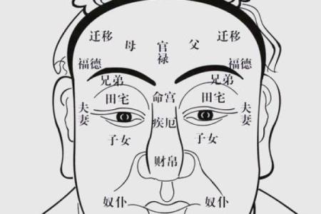 男人断掌手纹算命图解