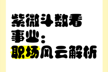 紫微斗数之：论事业
