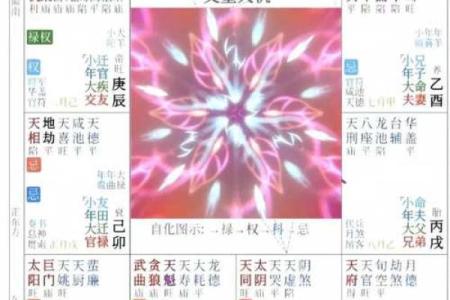 紫微斗数入门--身宫