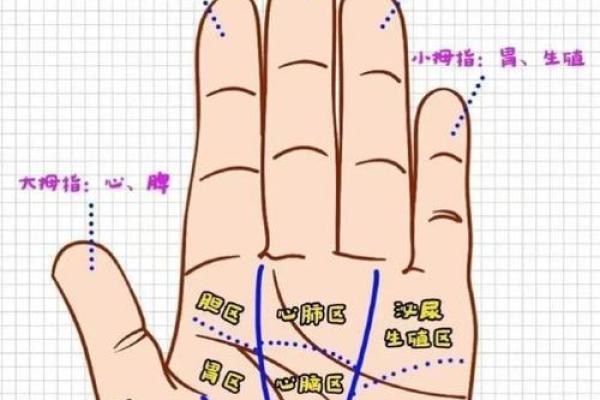 凯帝阿手相算命图解大全08