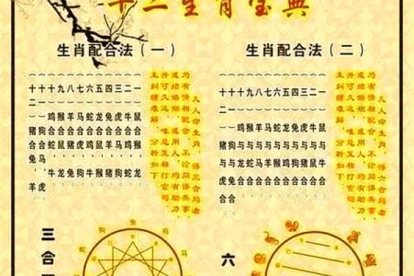 生肖八字合婚
