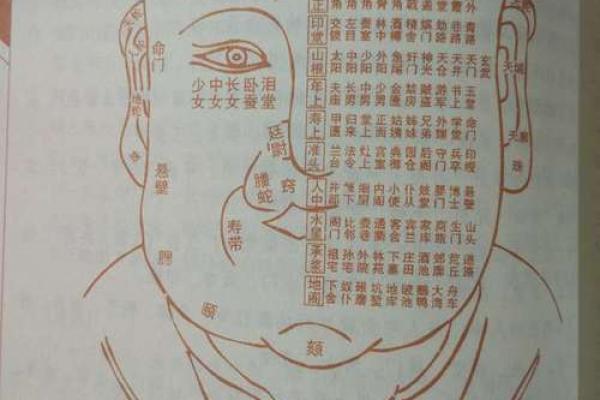 相面八字眉的面相解析与注重方法详解 相面八字眉的面相解析与注重方法详解