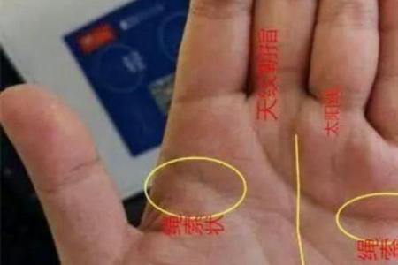 在线扫一扫测手相算命,扫一扫测手相算命免费