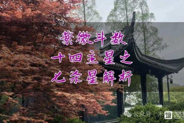 紫薇斗数紫薇七杀在亥 紫薇斗数紫薇七杀在亥